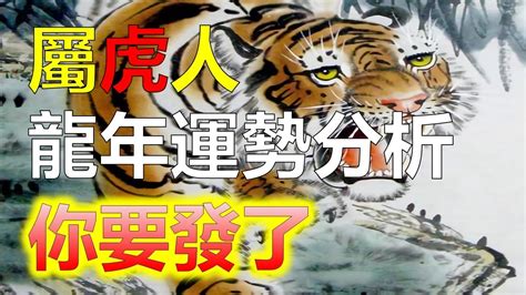 屬虎 幸運色|【屬虎 幸運色】屬虎者崛起！2024 絕佳幸運色助你旺全年！